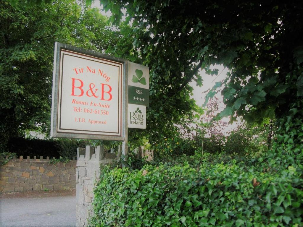 Tir Na Nog B&B Cashel  Bagian luar foto