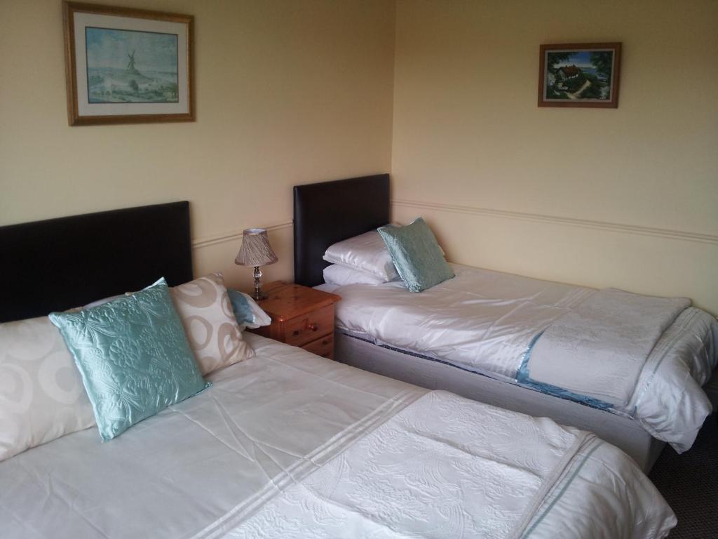 Tir Na Nog B&B Cashel  Bagian luar foto