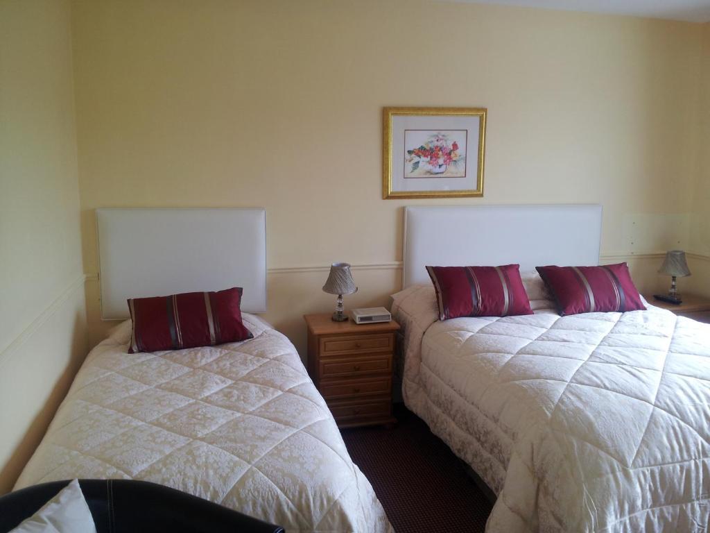 Tir Na Nog B&B Cashel  Bagian luar foto