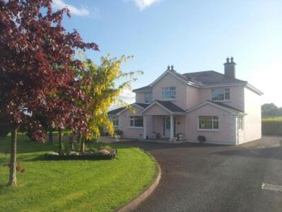 Tir Na Nog B&B Cashel  Bagian luar foto